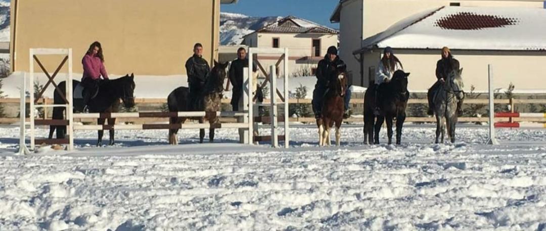 Готель House Of Horses Shtepia E Kuajve Корча Екстер'єр фото